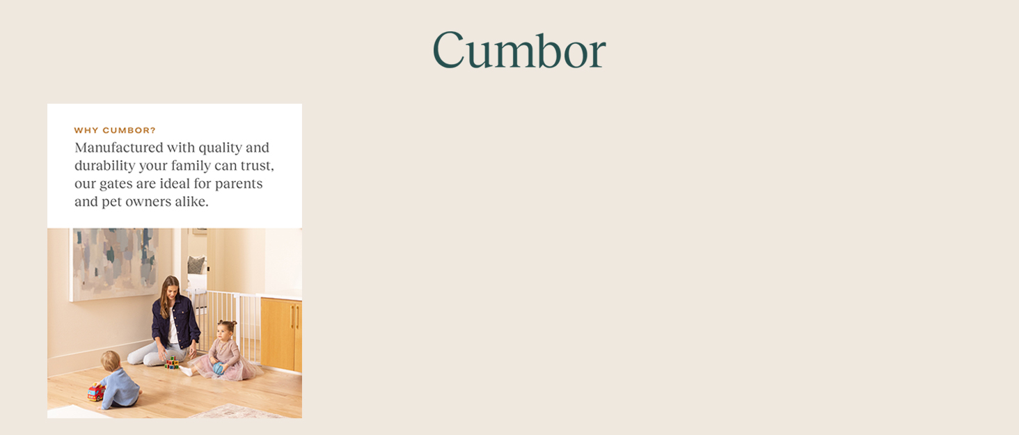 baby gate for stairs doorways dog pet puppy outdoor walk through pressure mounted 