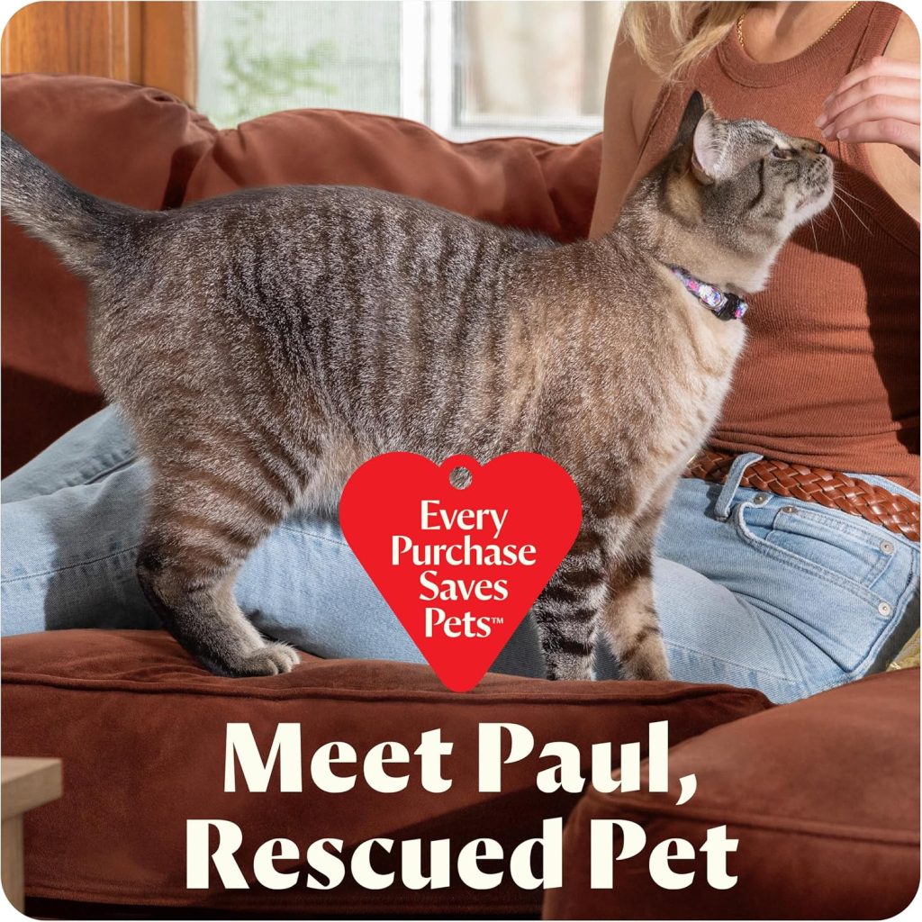 "BISSELL Little Green upholstery and carpet cleaner with HydroRinse tool, compact design, price limited time deal $69.99"