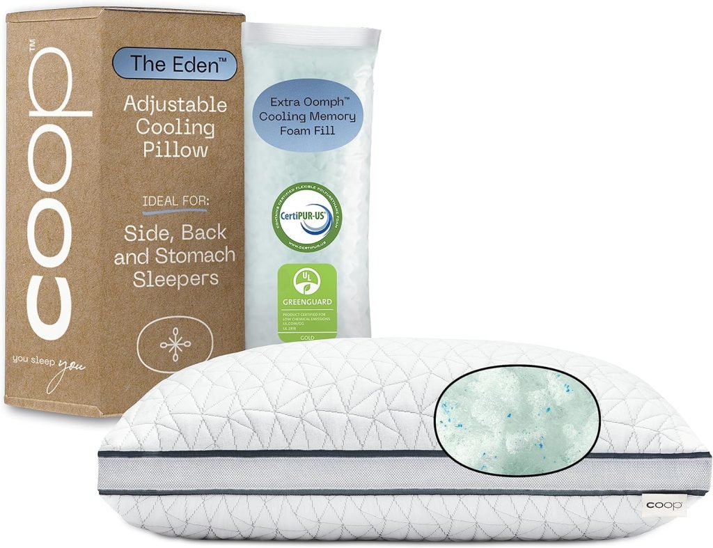Coop Home Goods Eden Memory Foam Cooling Pillow queen size with adjustable shredded memory foam filling and breathable cooling cover for side, back, and stomach sleepers.
