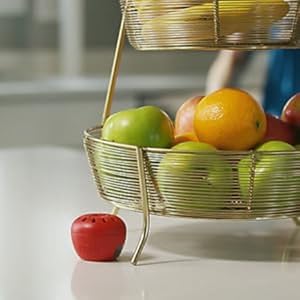 TERRO fruit fly trap near fruit basket