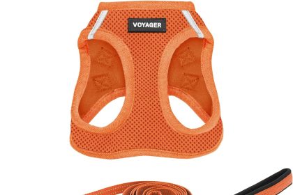 Reflective Neoprene Dog Harness in adjustable size for small to medium dogs, featuring soft padded material and reflective accents for safe nighttime walks