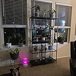 Customer Image, click to open customer review