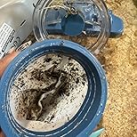 Customer Image, click to open customer review