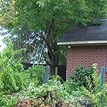 Customer Image, click to open customer review