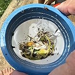 Customer Image, click to open customer review