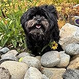 Customer Image, click to open customer review