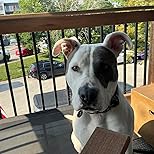 Customer Image, click to open customer review