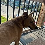 Customer Image, click to open customer review