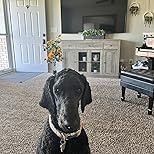 Customer Image, click to open customer review