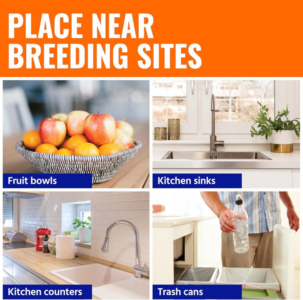 “Terro Fruit Fly Trap capturing fruit flies in the kitchen, effective and easy-to-use pest control solution.”