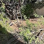 Customer Image, click to open customer review