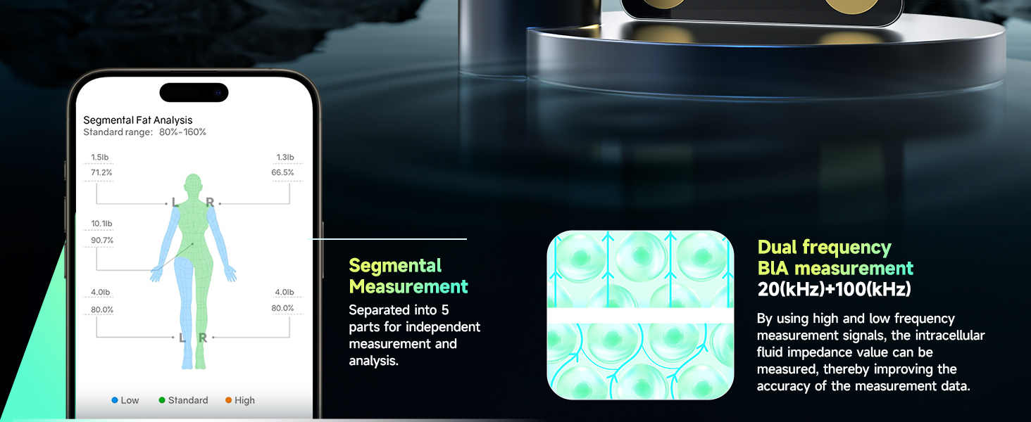 scale for body weight and fat