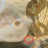 Customer Image, click to open customer review