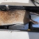 Customer Image, click to open customer review