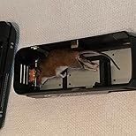 Customer Image, click to open customer review