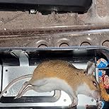 Customer Image, click to open customer review