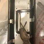 Customer Image, click to open customer review