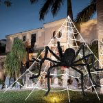 Set of realistic Halloween spider decorations for indoor and outdoor use, perfect for spooky home décor and Halloween parties.