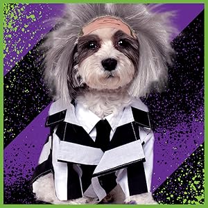 Dorothy and Toto Wizard of Oz Costume Rubies