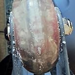 Customer Image, click to open customer review